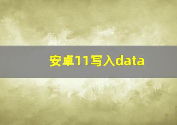 安卓11写入data