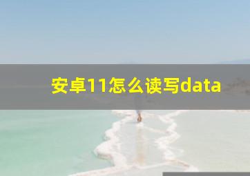 安卓11怎么读写data