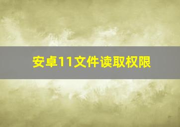 安卓11文件读取权限