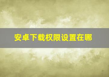 安卓下载权限设置在哪