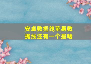 安卓数据线苹果数据线还有一个是啥