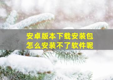 安卓版本下载安装包怎么安装不了软件呢