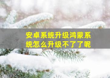 安卓系统升级鸿蒙系统怎么升级不了了呢