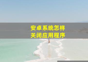 安卓系统怎样关闭应用程序