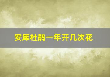 安库杜鹃一年开几次花