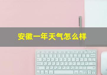 安徽一年天气怎么样