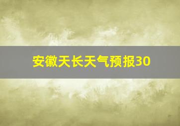 安徽天长天气预报30