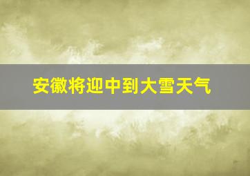 安徽将迎中到大雪天气