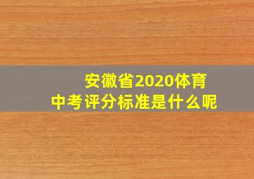 安徽省2020体育中考评分标准是什么呢