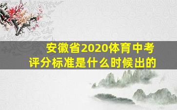 安徽省2020体育中考评分标准是什么时候出的