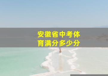 安徽省中考体育满分多少分