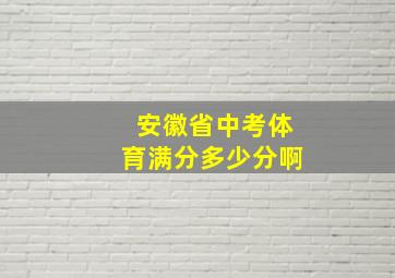 安徽省中考体育满分多少分啊