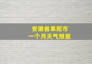 安徽省阜阳市一个月天气预报