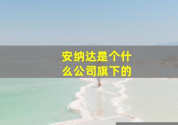 安纳达是个什么公司旗下的