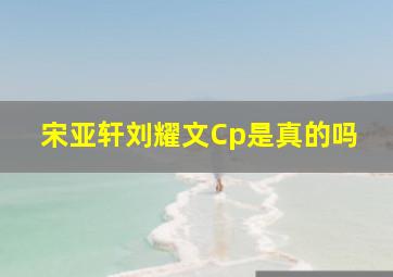 宋亚轩刘耀文Cp是真的吗