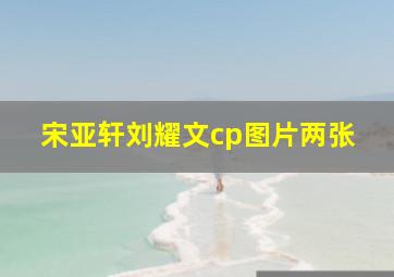 宋亚轩刘耀文cp图片两张