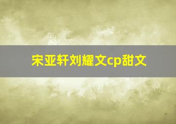 宋亚轩刘耀文cp甜文