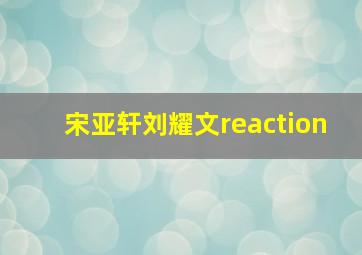 宋亚轩刘耀文reaction