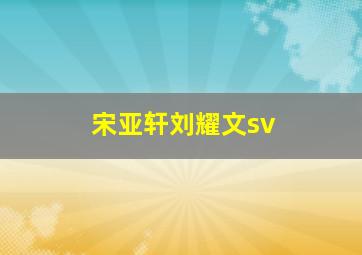 宋亚轩刘耀文sv