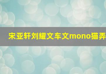 宋亚轩刘耀文车文mono猫弄