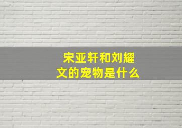 宋亚轩和刘耀文的宠物是什么