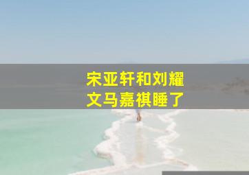 宋亚轩和刘耀文马嘉祺睡了