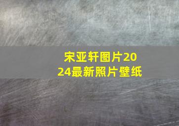 宋亚轩图片2024最新照片壁纸