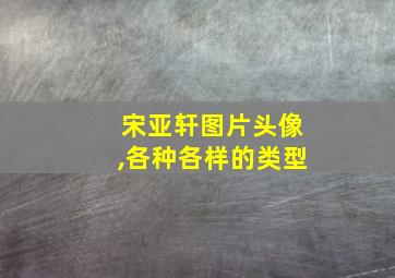 宋亚轩图片头像,各种各样的类型