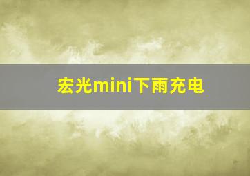 宏光mini下雨充电