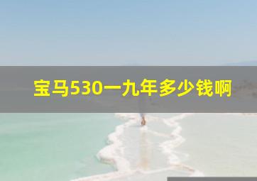 宝马530一九年多少钱啊