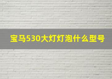 宝马530大灯灯泡什么型号