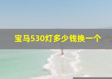 宝马530灯多少钱换一个