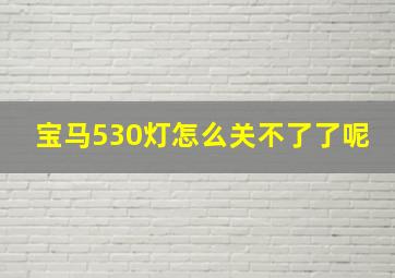 宝马530灯怎么关不了了呢