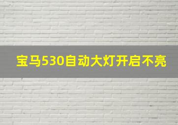 宝马530自动大灯开启不亮