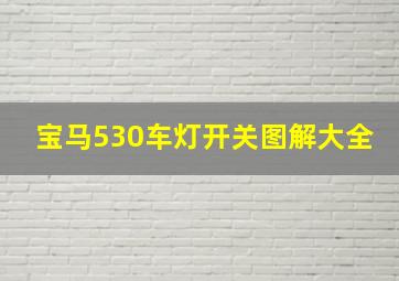 宝马530车灯开关图解大全