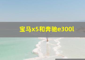 宝马x5和奔驰e300l