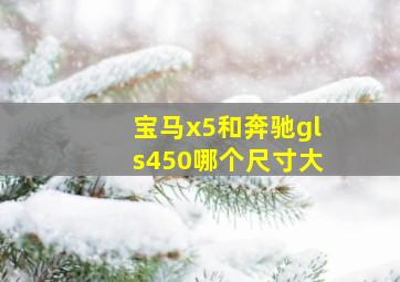 宝马x5和奔驰gls450哪个尺寸大