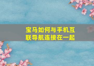 宝马如何与手机互联导航连接在一起