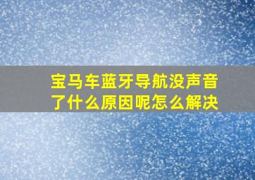 宝马车蓝牙导航没声音了什么原因呢怎么解决