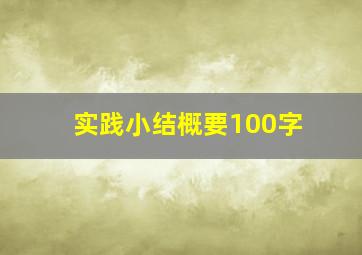 实践小结概要100字