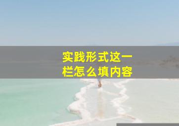 实践形式这一栏怎么填内容