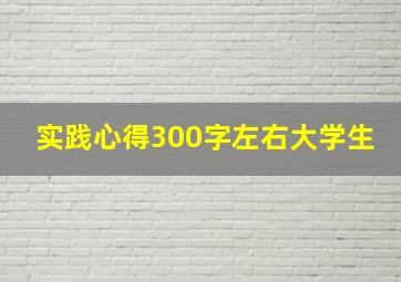 实践心得300字左右大学生