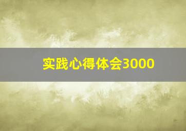 实践心得体会3000