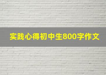 实践心得初中生800字作文