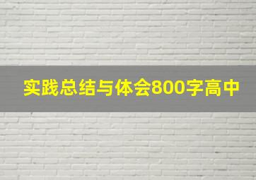 实践总结与体会800字高中