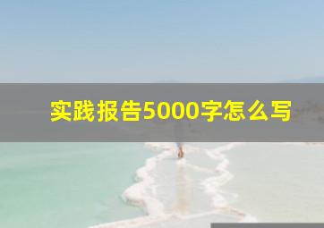 实践报告5000字怎么写