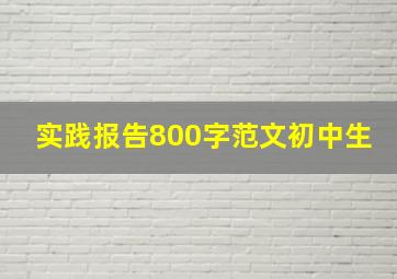 实践报告800字范文初中生