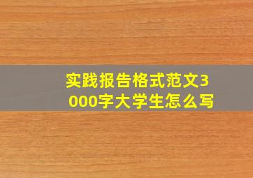 实践报告格式范文3000字大学生怎么写