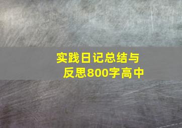 实践日记总结与反思800字高中