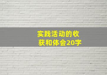 实践活动的收获和体会20字